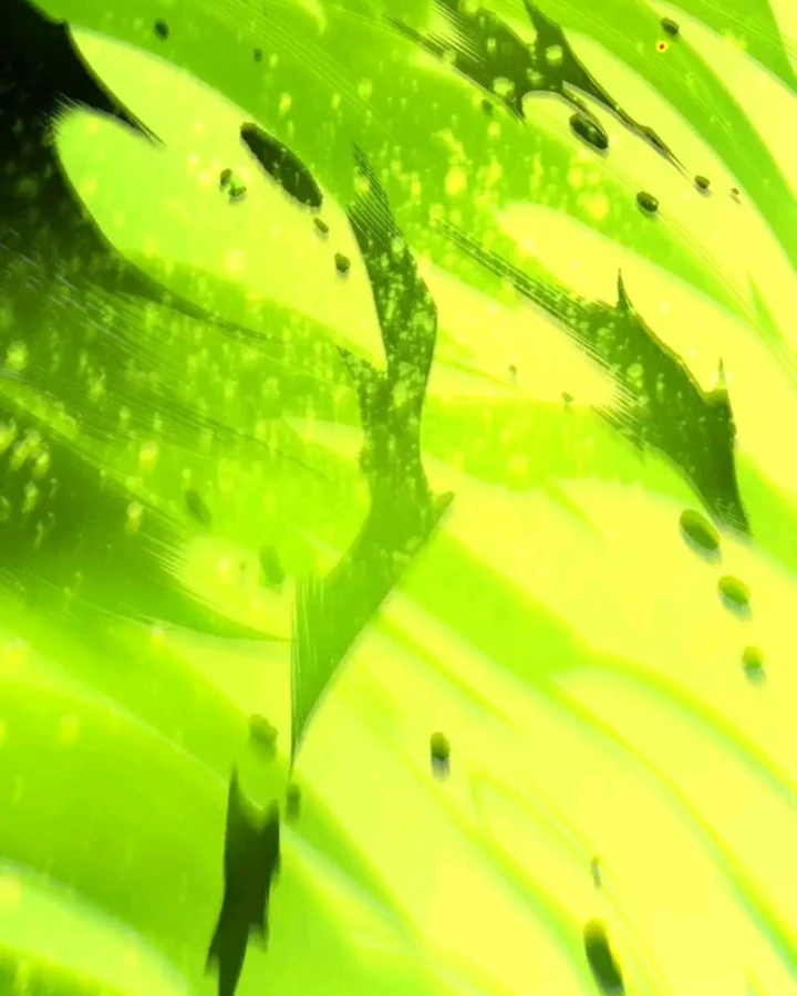 Thảm Họa Tử Linh Sư Chapter 245 - 48