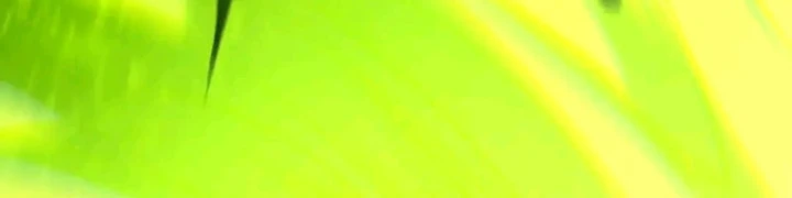 Thảm Họa Tử Linh Sư Chapter 245 - 49