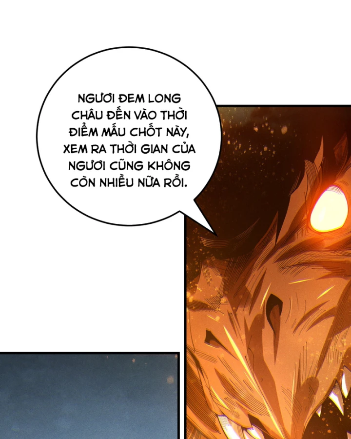 Thảm Họa Tử Linh Sư Chapter 248 - 13