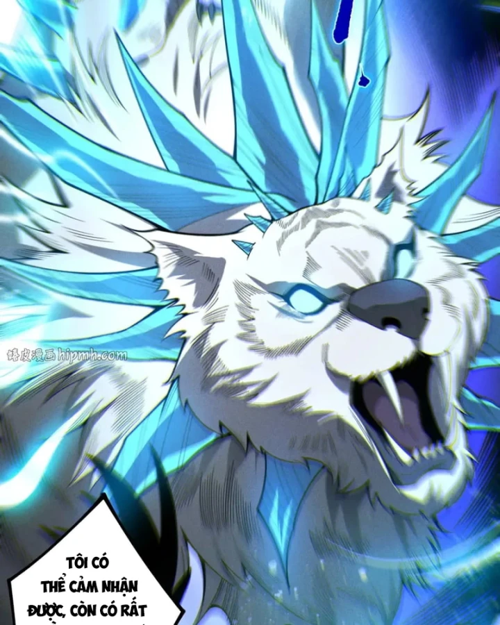 Thảm Họa Tử Linh Sư Chapter 250 - 78