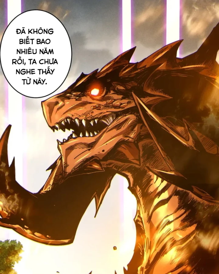 Thảm Họa Tử Linh Sư Chapter 251 - 3