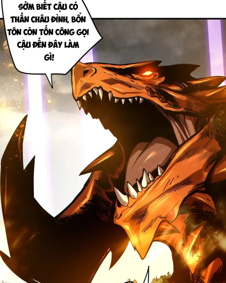 Thảm Họa Tử Linh Sư Chapter 251 - 105