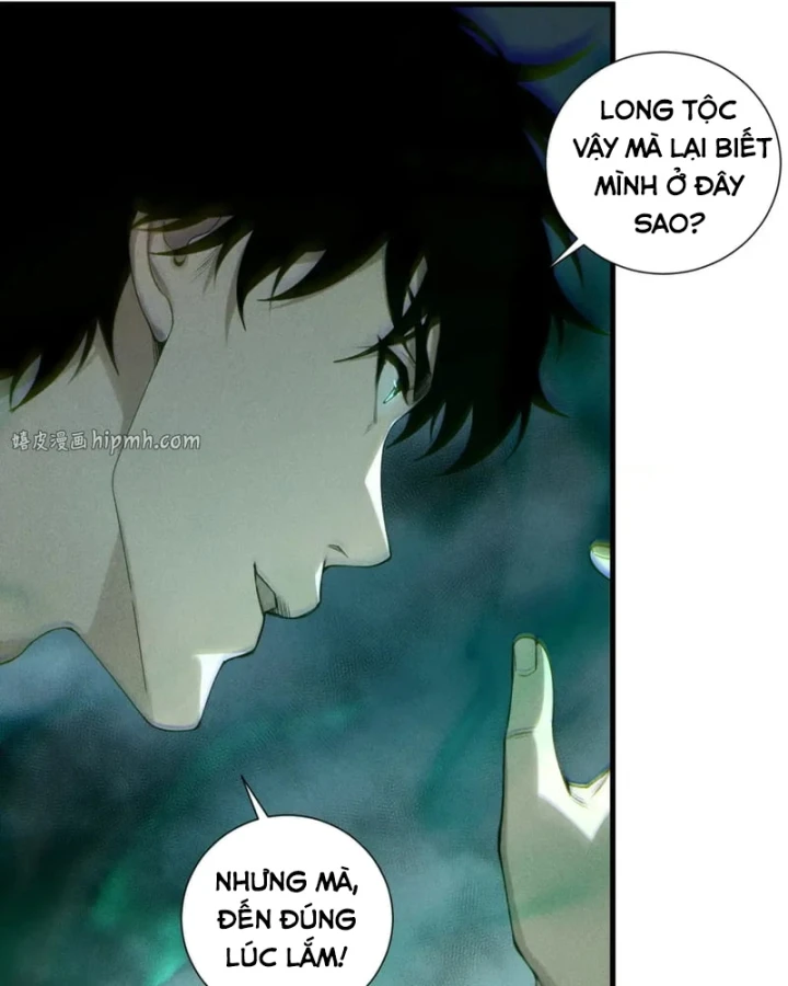 Thảm Họa Tử Linh Sư Chapter 253 - 78