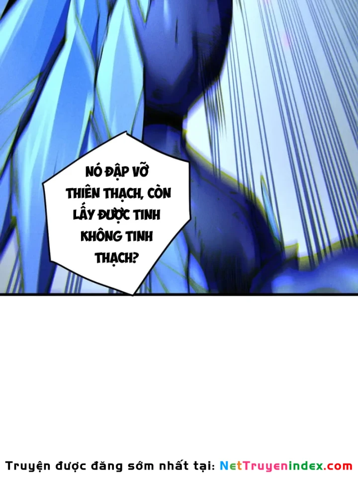 Thảm Họa Tử Linh Sư Chapter 254 - 57