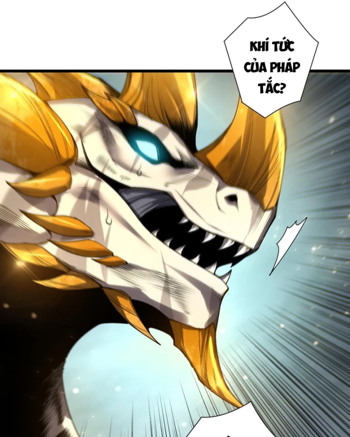 Thảm Họa Tử Linh Sư Chapter 260 - 7