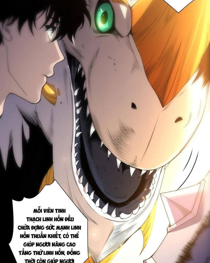 Thảm Họa Tử Linh Sư Chapter 260 - 15