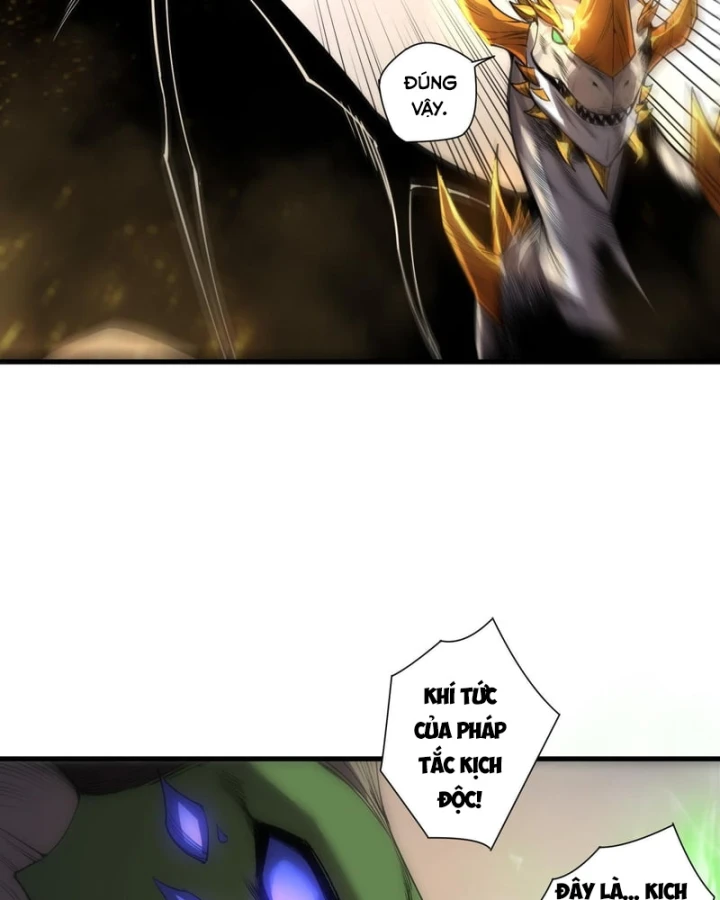 Thảm Họa Tử Linh Sư Chapter 260 - 23