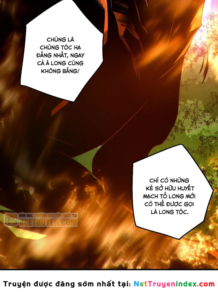 Thảm Họa Tử Linh Sư Chapter 262 - 40