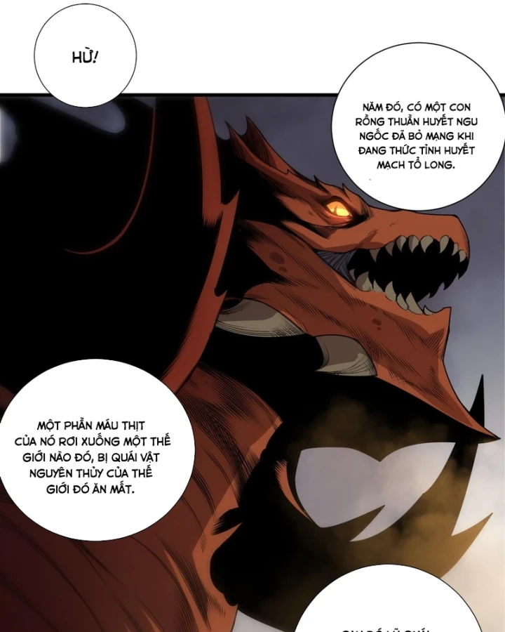 Thảm Họa Tử Linh Sư Chapter 262 - 48