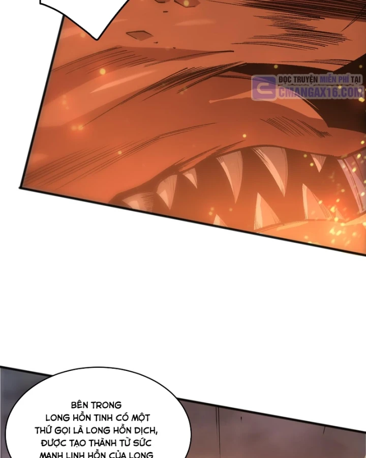 Thảm Họa Tử Linh Sư Chapter 262 - 61