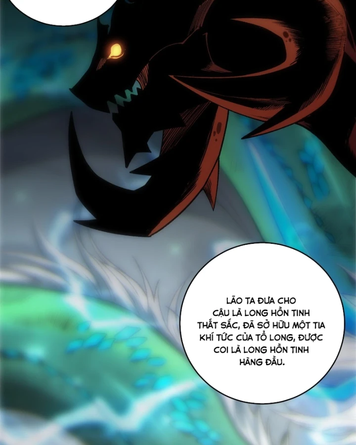 Thảm Họa Tử Linh Sư Chapter 262 - 66