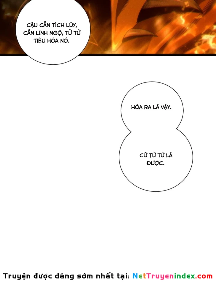 Thảm Họa Tử Linh Sư Chapter 263 - 17