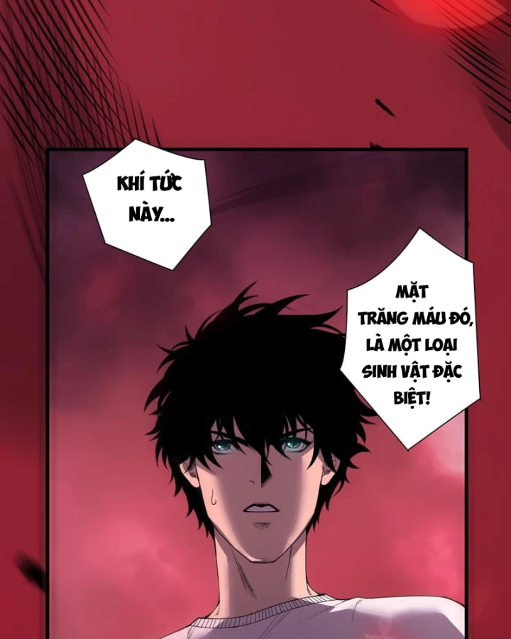 Thảm Họa Tử Linh Sư Chapter 264 - 8