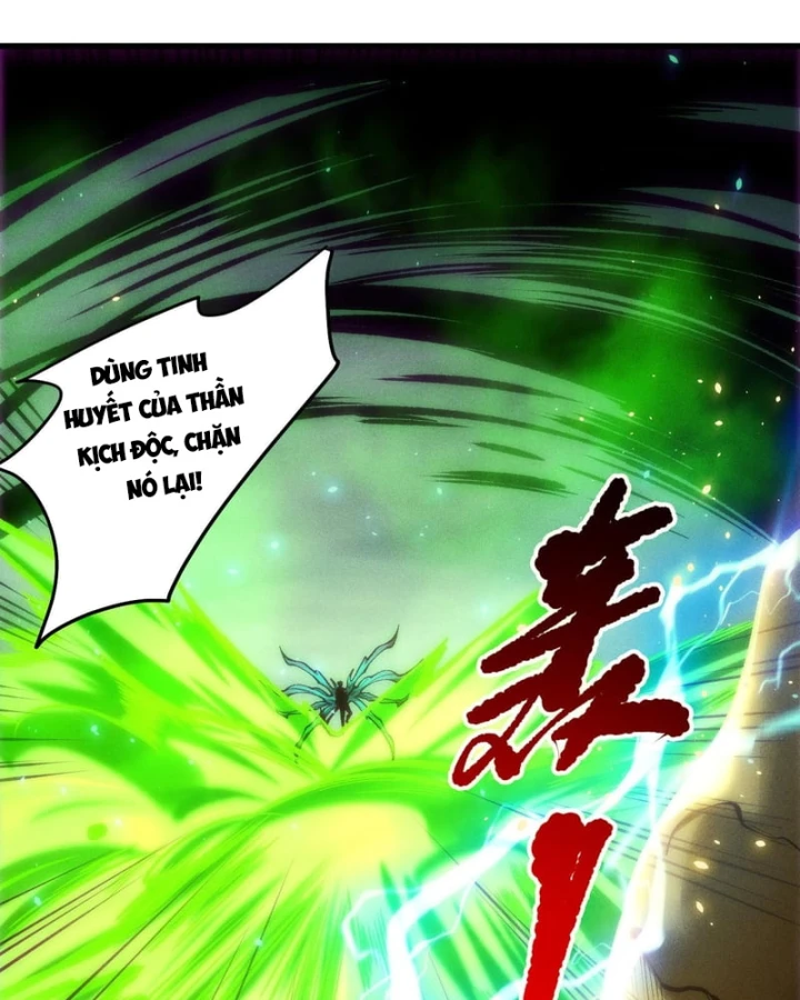 Thảm Họa Tử Linh Sư Chapter 266 - 11