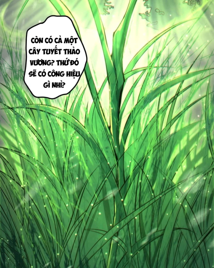 Thảm Họa Tử Linh Sư Chapter 271 - 93