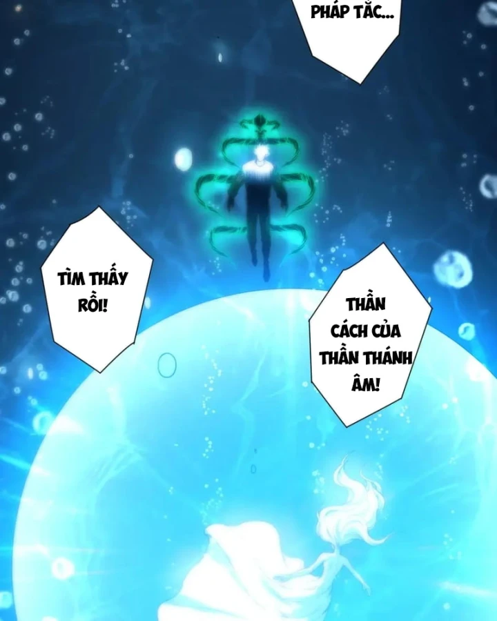 Thảm Họa Tử Linh Sư Chapter 273 - 79
