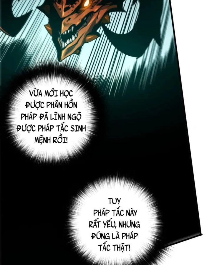 Thảm Họa Tử Linh Sư Chapter 279 - 62