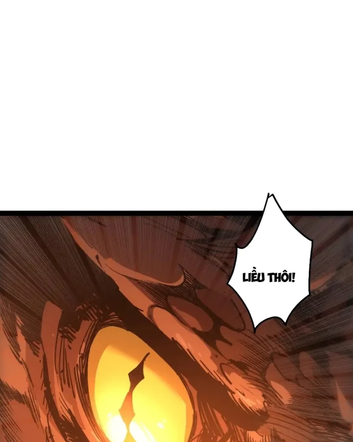 Thảm Họa Tử Linh Sư Chapter 291 - 93