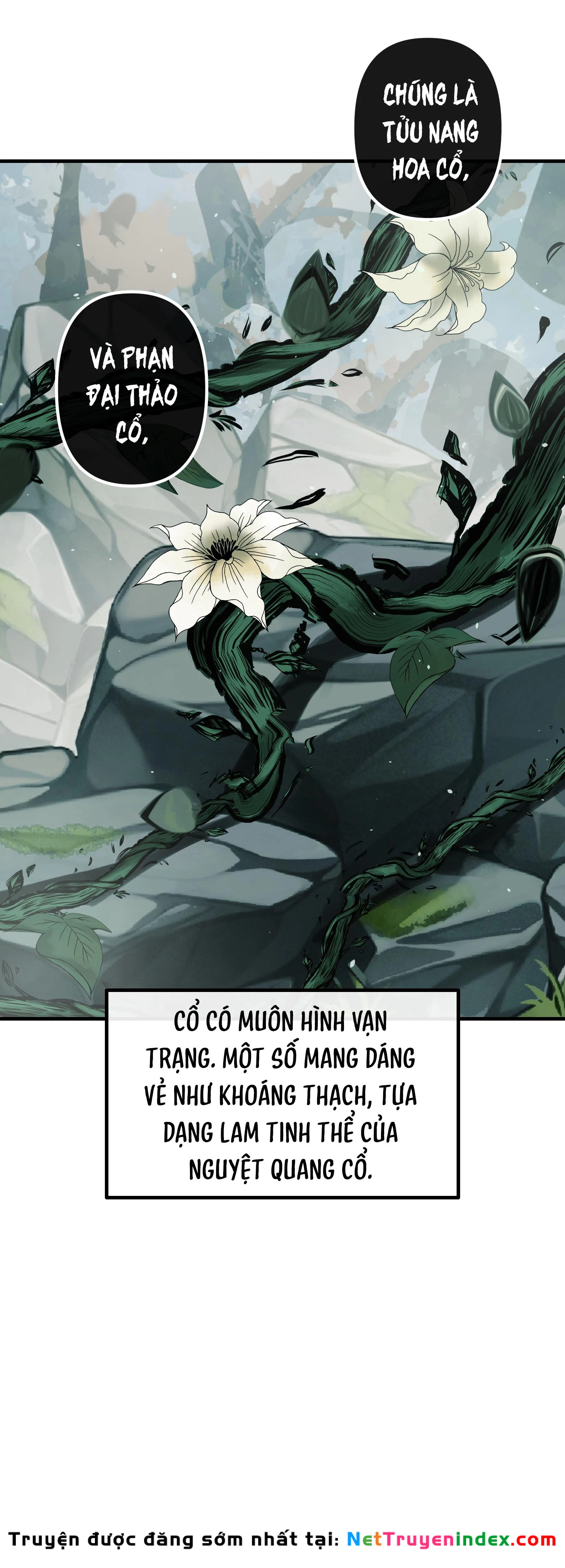 Cổ Chân Nhân (bản mới) Chapter 11 - 27