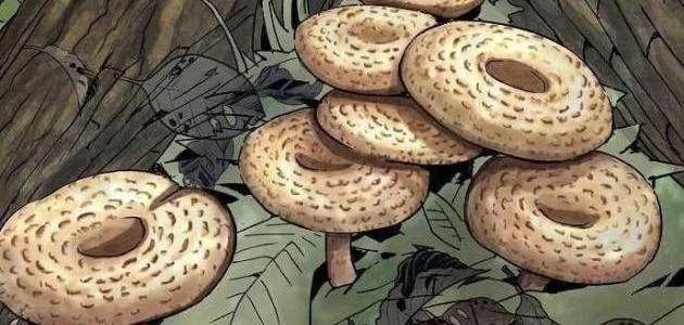 Hồ Sơ Ác Nhân Chapter 33 - 43