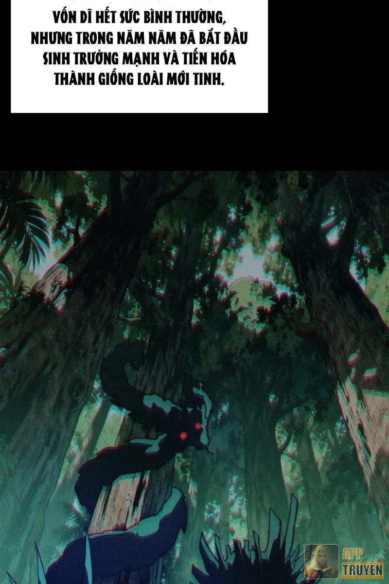 Sau Khi Chia Tay Hoa Khôi, Võ Đạo Của Ta Thẳng Tới Cấp Thần Chapter 47 - 75