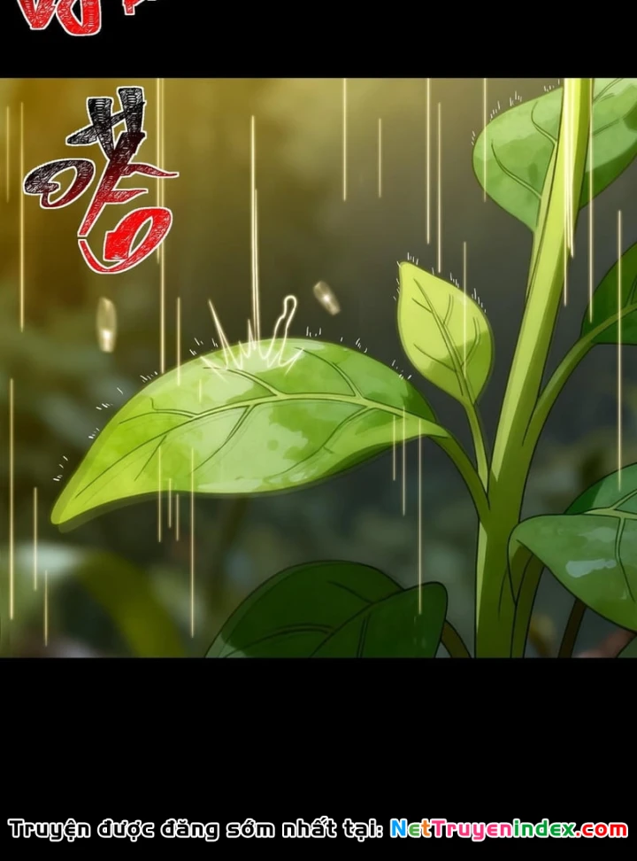 Sau Khi Chia Tay Hoa Khôi, Võ Đạo Của Ta Thẳng Tới Cấp Thần Chapter 69 - 135