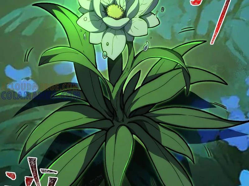 Sau Khi Chia Tay Hoa Khôi, Võ Đạo Của Ta Thẳng Tới Cấp Thần Chapter 15 - 10