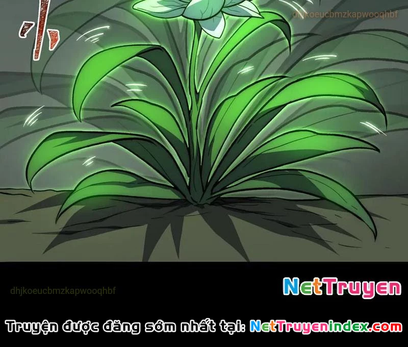 Sau Khi Chia Tay Hoa Khôi, Võ Đạo Của Ta Thẳng Tới Cấp Thần Chapter 15 - 21