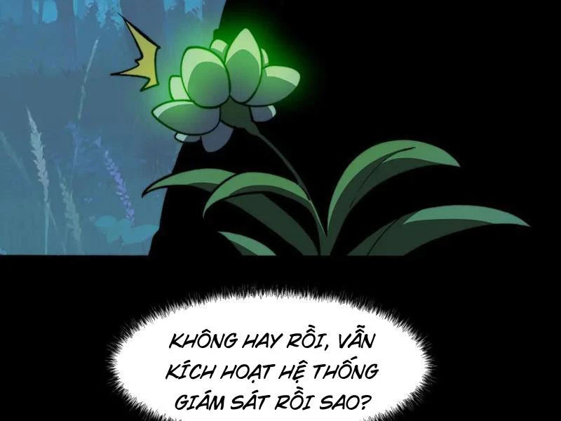 Sau Khi Chia Tay Hoa Khôi, Võ Đạo Của Ta Thẳng Tới Cấp Thần Chapter 15 - 33