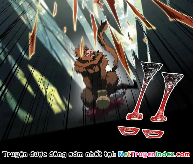 Sau Khi Chia Tay Hoa Khôi, Võ Đạo Của Ta Thẳng Tới Cấp Thần Chapter 20 - 67