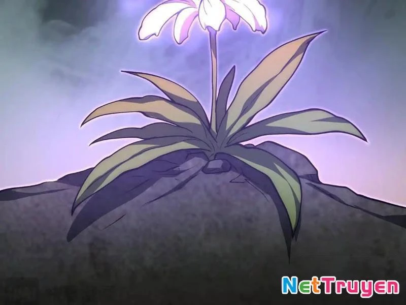 Sau Khi Chia Tay Hoa Khôi, Võ Đạo Của Ta Thẳng Tới Cấp Thần Chapter 25 - 136