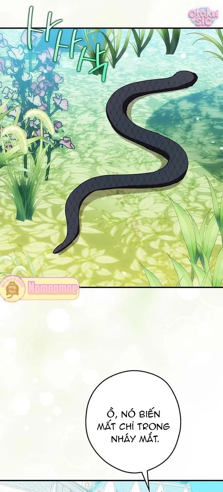 Chuột Đồng Này Sẽ Đưa Lọ Lem Đi Chapter  26 - 51