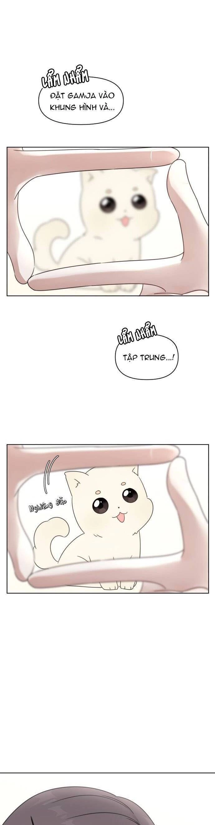 Ngắm Nhìn Điều Tuyệt Vời Nhất Chapter 5 - 20