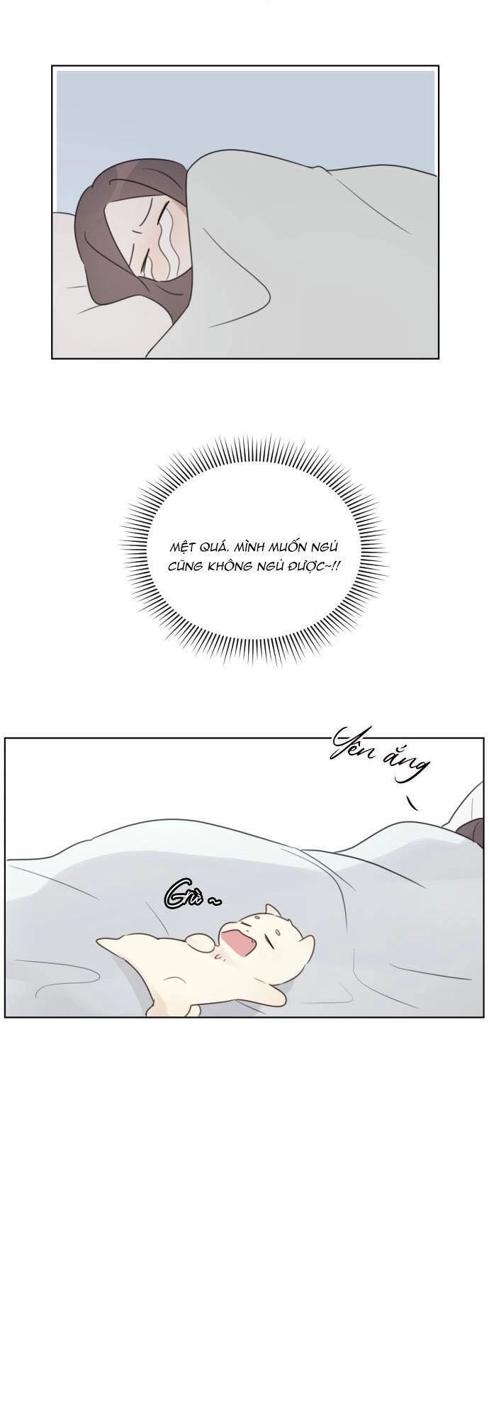 Ngắm Nhìn Điều Tuyệt Vời Nhất Chapter 29 - 12