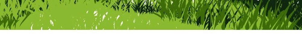 Thất Đại Kỳ Tích – Nước Mắt Bạo Quân Chapter 10 - 50