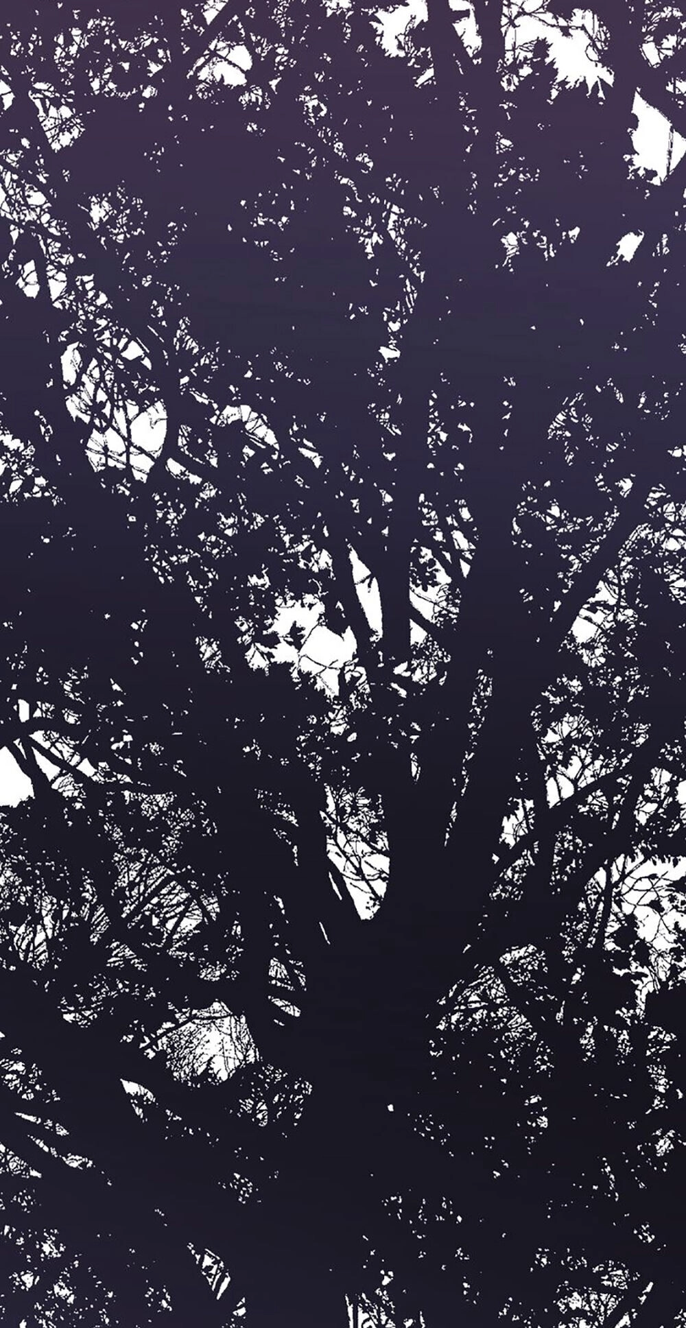 Thất Đại Kỳ Tích – Nước Mắt Bạo Quân Chapter 47 - 15