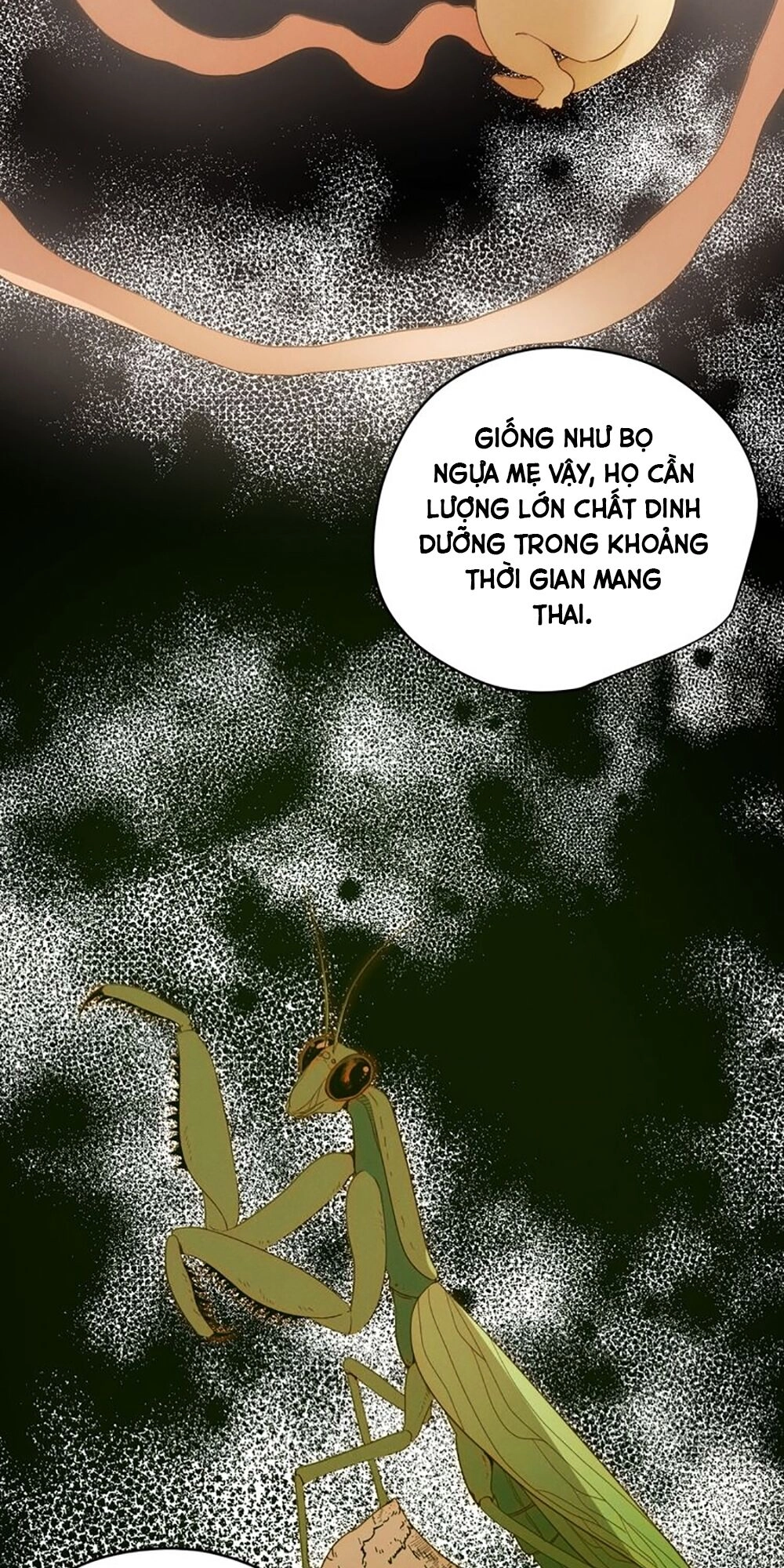 Thất Đại Kỳ Tích – Nước Mắt Bạo Quân Chapter 52 - 46