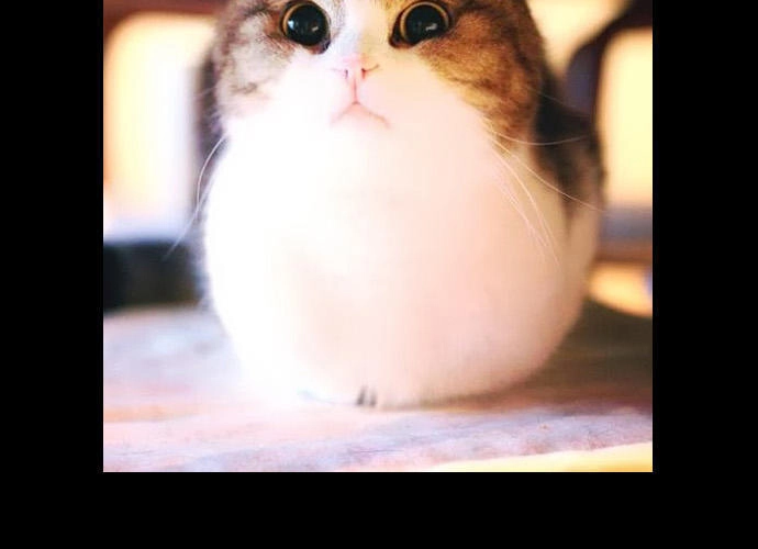 Tòa Tháp Bí Ẩn 2 Chapter 93 - 36