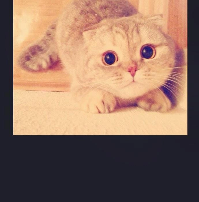 Tòa Tháp Bí Ẩn 2 Chapter 96 - 35