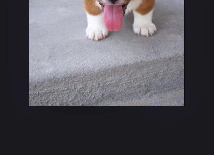 Tòa Tháp Bí Ẩn 2 Chapter 98 - 32