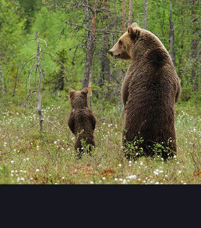 Tòa Tháp Bí Ẩn 2 Chapter 104 - 39