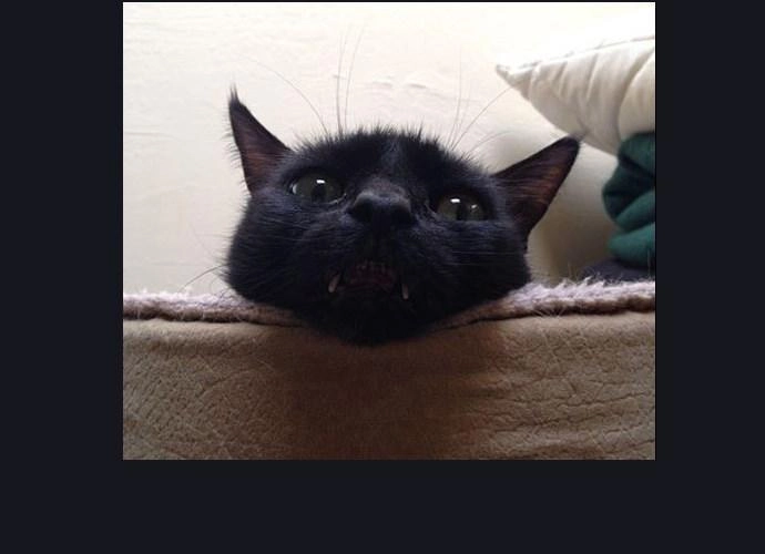 Tòa Tháp Bí Ẩn 2 Chapter 106 - 43