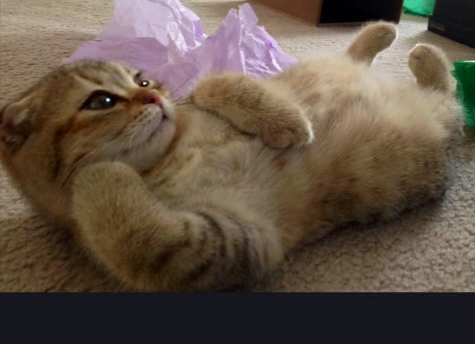 Tòa Tháp Bí Ẩn 2 Chapter 107 - 35