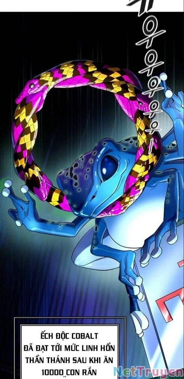 Tòa Tháp Bí Ẩn 2 Chapter 532 - 43
