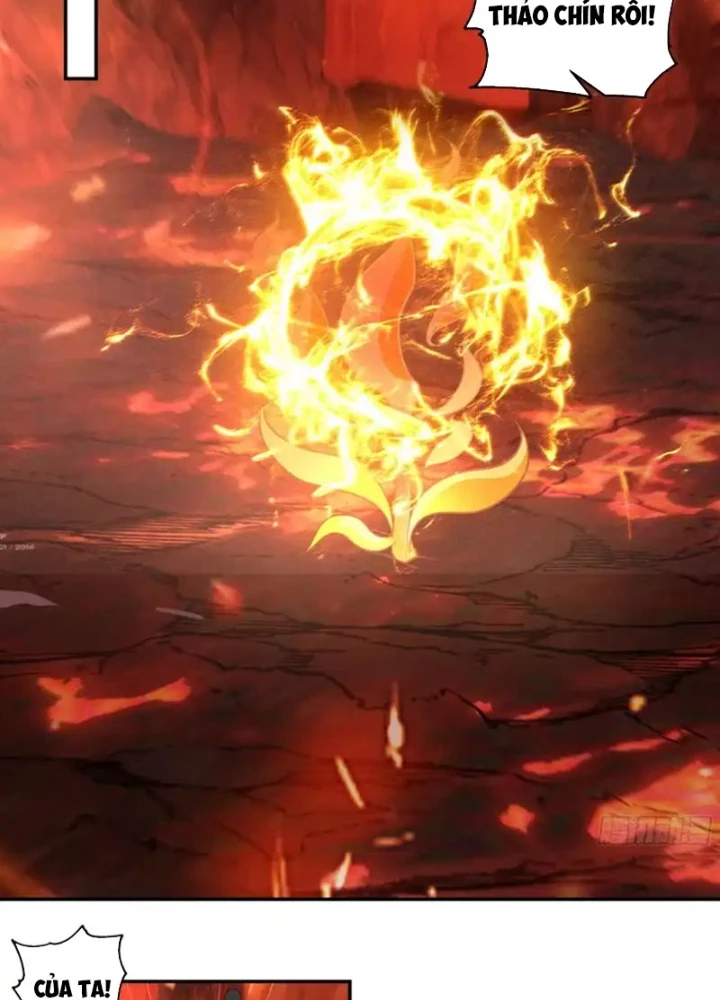 Nữ phụ tu tiên từ chối kịch bản làm pháo hôi Chapter 29 - 37