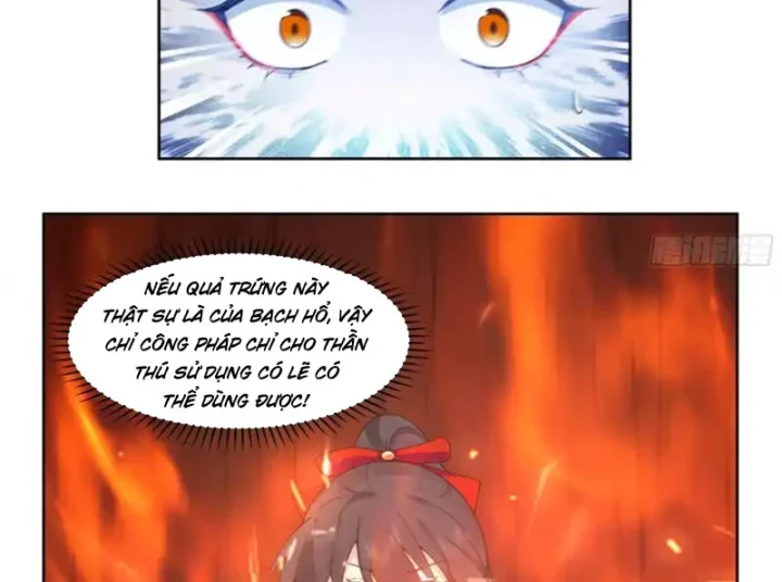 Nữ phụ tu tiên từ chối kịch bản làm pháo hôi Chapter 33 - 70