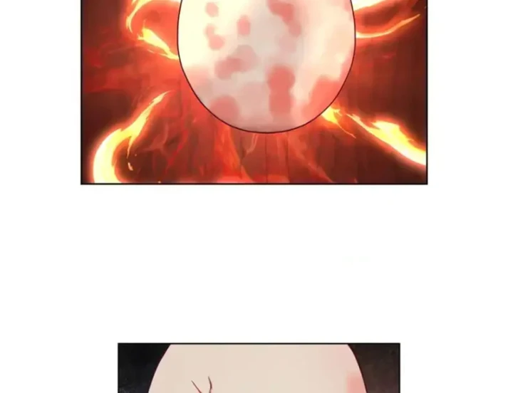 Nữ phụ tu tiên từ chối kịch bản làm pháo hôi Chapter 34 - 49