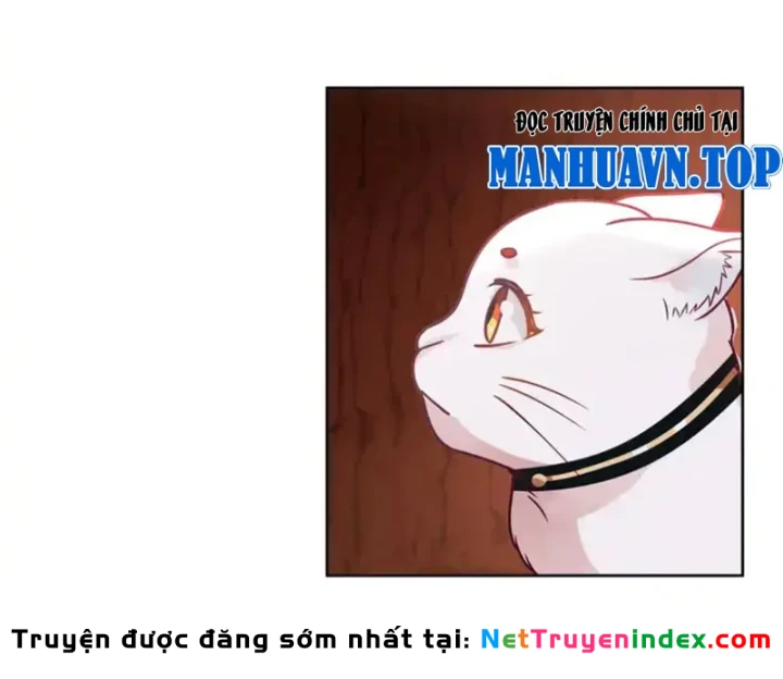 Nữ phụ tu tiên từ chối kịch bản làm pháo hôi Chapter 34 - 54