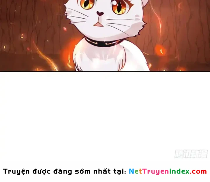 Nữ phụ tu tiên từ chối kịch bản làm pháo hôi Chapter 34 - 56