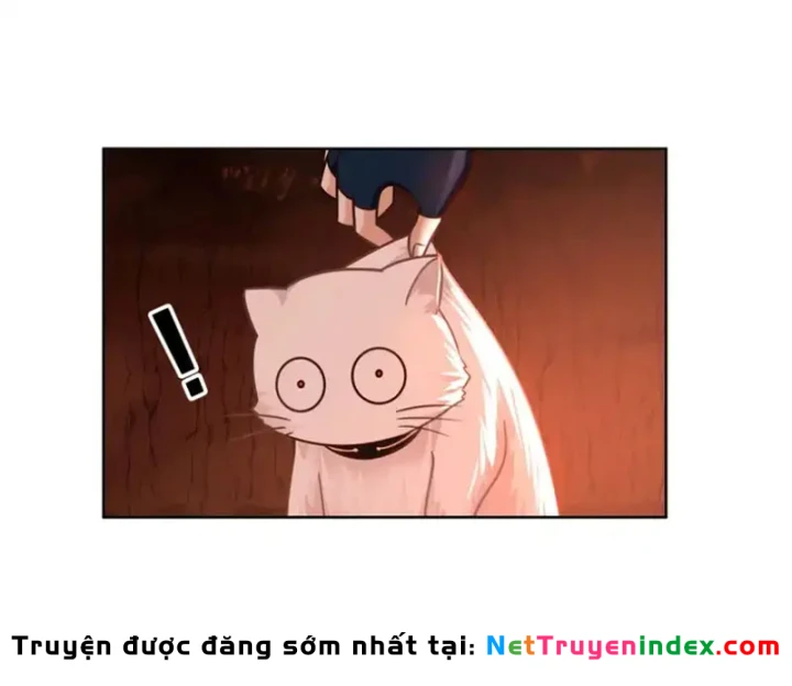 Nữ phụ tu tiên từ chối kịch bản làm pháo hôi Chapter 34 - 57